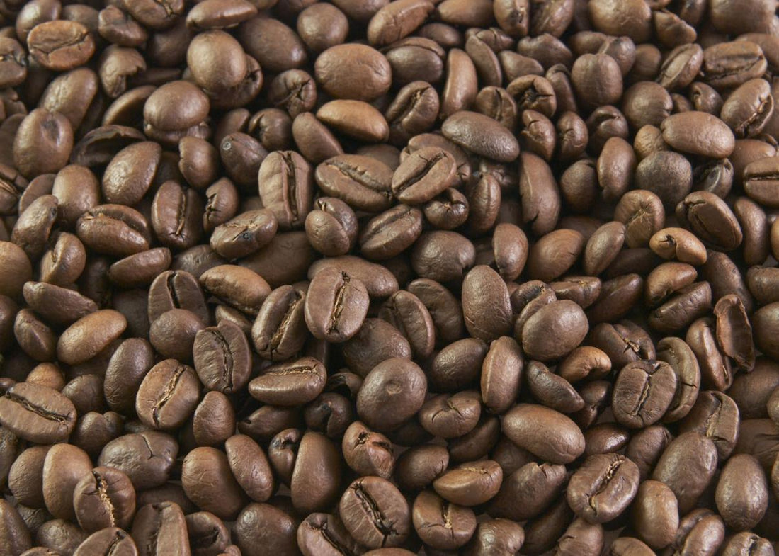 What Makes Premium Coffee Different?